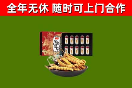 白城市回收冬虫夏草价格
