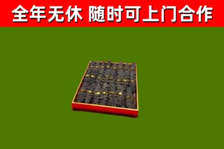 白城市回收海参